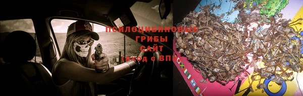 амф Дмитровск