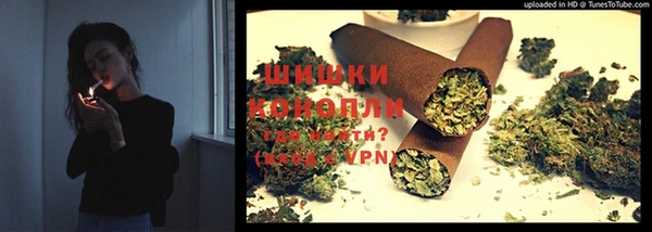 шишки Гусь-Хрустальный