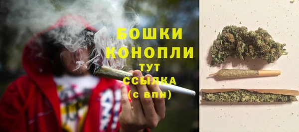 прущая мука Гусев