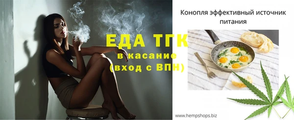 шишки Гусь-Хрустальный