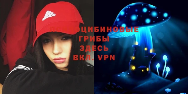 шишки Гусь-Хрустальный