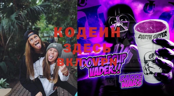 шишки Гусь-Хрустальный