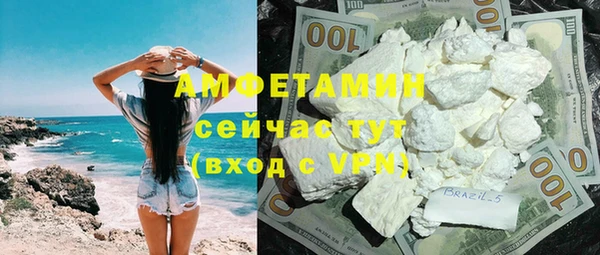 шишки Гусь-Хрустальный