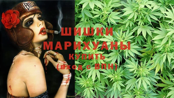 прущая мука Гусев