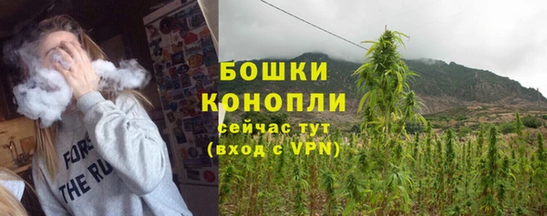 прущая мука Гусев