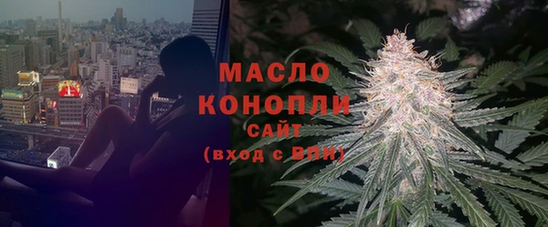 шишки Гусь-Хрустальный
