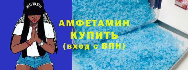 шишки Гусь-Хрустальный