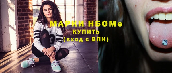 шишки Гусь-Хрустальный