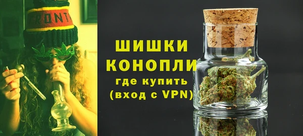 шишки Гусь-Хрустальный