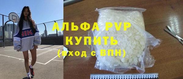 шишки Гусь-Хрустальный